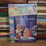 REVISTA LUMINITA , NR. 15 / 2012 *