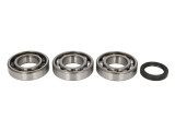 Cumpara ieftin Lagare cu arbore cotit set cu garnituri pentru POLARIS ATP, OUTLAW, SCRAMBLER, SPORTSMAN, WORKER, XPLORER 400/500/525 1997-2011