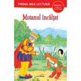 Motanul incaltat (Nivelul 1 Carte cu pictograme)