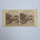 Fotografie de colectie stereoscopica, Peisaj cu parc, Anglia, Marea Britanie, UK, Europa, ca. 1880