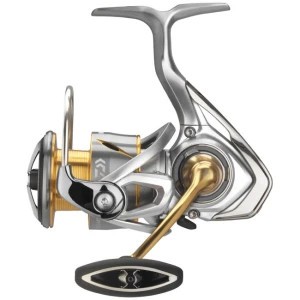 Mulineta Daiwa Freams LT 2500 foto