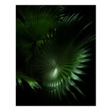 Tablou Canvas, "Frumusețea verde a naturii umbrelate", Frunze, Verde, Lumină, Umbre, Natură, Eleganță, Textură, Mister, Frumusețe, 26 x 39 cm, CMCLASS