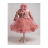 Cumpara ieftin Rochita Botez Ann, Roz - DPH32