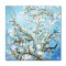 Tablou celebru pictat manual, Migdal inflorit, 60x60cm ulei pe panza, reproducere Vincent van Gogh