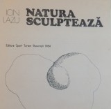 NATURA SCULPTEAZA ,1984