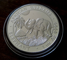 SOMALIA - 100 Shillings 2017 - in capsula - Elefant - argint 31.1 gr. - 999/1000 foto