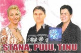 Casetă audio Stana, Puiu, Tinu, originală