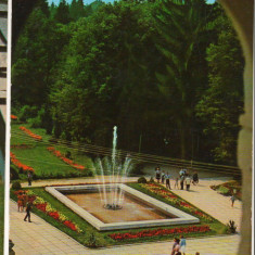 CPI B 11227 CARTE POSTALA - GOVORA, PARCUL