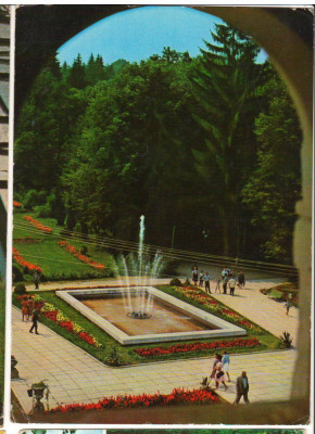 CPI B 11227 CARTE POSTALA - GOVORA, PARCUL foto