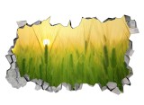 Cumpara ieftin Sticker decorativ, gaura in perete 3D, Rasarit, 85 cm, 169STK-1, natura si peisaje