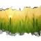 Sticker decorativ, gaura in perete 3D, Rasarit, 85 cm, 169STK-1