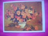 HOPCT 11642 GALBENELE -STEFAN LUCHIAN -CP PICTURA-FLORI - ROMANIA-NECIRCULATA