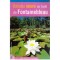 - Balades nature en foret de Fontainbleau - 120661