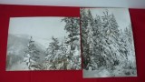 FOTOGRAFII ALB-NEGRU, PEISAJ DE IARNA LOT 2 BUC. (28/21 cm)