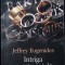 INTRIGA MATRIMONIALA-JEFFREY EUGENIDES-359124