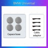 Lumini Ambientale dedicate BMW difuzor iluminat control telefon sau sistem original CarStore Technology