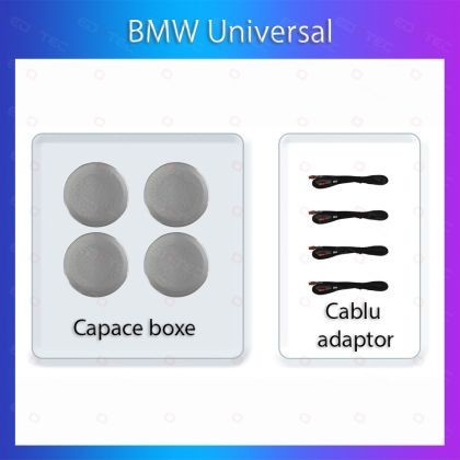 Lumini Ambientale dedicate BMW difuzor iluminat control telefon sau sistem original CarStore Technology