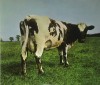 Pink Floyd Atom Heart Mother Gatefold sleeve reissuerepressremaster 2025 (cd)