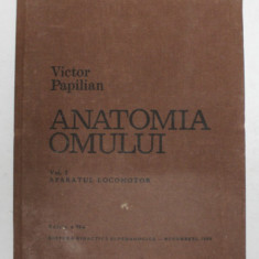 ANATOMIA OMULUI-VICTOR PAPILIAN VOL 1:APARATUL LOCOMOTOR EDITIA A 6-A REVIZUITA SI ADAUGITA DE I. ALBU 1982