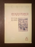 Peter Burke - Renașterea (1998, 89 p.)