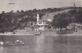 Balcic. (necirculata)