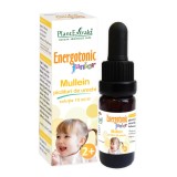 Cumpara ieftin Picaturi de urechi Energotonic Junior Mullein, 15 ml, Plant Extrakt