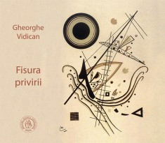 Fisura privirii - Scoala Ardeleana