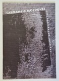 SALOANELE MOLDOVEI , XVI , BACAU - CHISINAU , 2006
