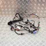 Cablaj Usa Dreapta Fata Tesla Model 3 2018 OEM 1067963-00-D