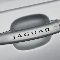 Sticker manere usa - Jaguar (set 4 buc.)