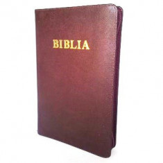 Biblia de studiu pentru copii. Coperta piele visinie, LPI152