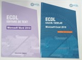 ECDL VOL I - II , EDITARE DE TEXT , MICROSOFT WORD 2010 / CALCUL TABELAR , MICROSOFT EXCEL 2010 de RALUCA CONSTANTINESCU SI IONUT DANAILA , 2010