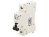 &Icirc;ntrerupător de supracurent 230V AC 10A