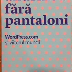 Anul meu fara pantaloni. WordPress.com si viitorul muncii