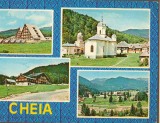 CPI B14326 CARTE POSTALA - CHEIA, JUD. PRAHOVA, MOZAIC, Circulata, Fotografie