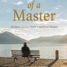 Memoirs of a Master: Short Stories from a Spiritual Master