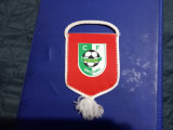 Fanion C F Nistru Chisinau