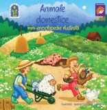 Animale domestice. Mini-enciclopedie ilustrata - Editura Lizuka Educativ