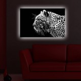 Cumpara ieftin Tablou cu LED 4570DACT Multicolor 45x70 cm
