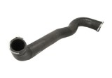 Palnie, filtru de aer LAND ROVER DISCOVERY III (L319) (2004 - 2009) THERMOTEC DCI016TT