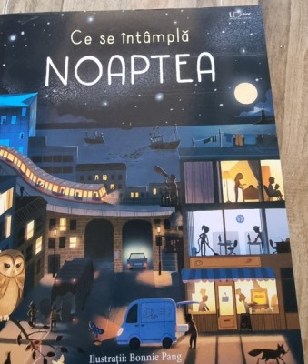 Ce se intampla noaptea - Laura Cowan, ilustratii Bonnie Pang foto