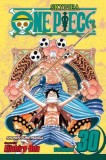 One Piece, Volume 30