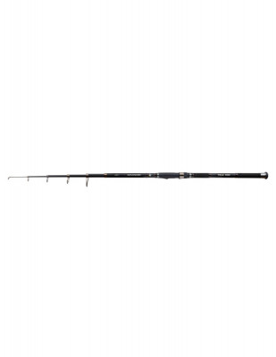 Lanseta Carp Expert Advancer Tele, 3.30m, 40-80g foto