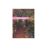 A Thirty Day Walk with God in the Psalms: A Devotional