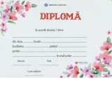 Diploma scolara - model 41