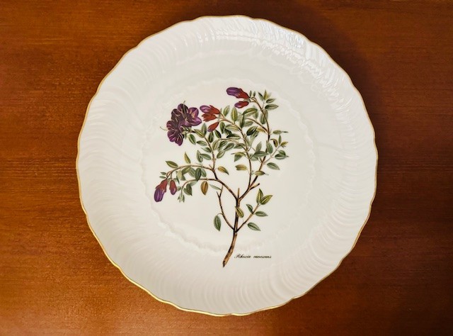 FARFURIE DIN PORTELAN FIN, CU MARCAJ K&ouml;nigl. pr. Tettau D20CM