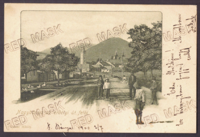 4869 - BAIA MARE, street market, Litho, Romania - old postcard - used - 1900