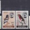 DB1 Fauna Africana Pasari 1962 Etiopia Ethiopia 5 v. MNH