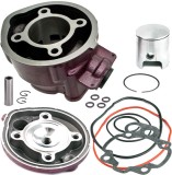Cumpara ieftin Set Motor RIEJU RS1 80/90cc + Chiuloasa, Racire Apa, AM6, Aprilia RS, Beta, HM, Malaguti, Minarelli, Peugeot, Yamaha