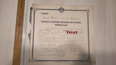 CERTIFICAT DE ABSOLVIRE A GIMNAZIULUI SAU A CURSULUI INFERIOR DE LICEU , LICEUL LAZAR , 1903